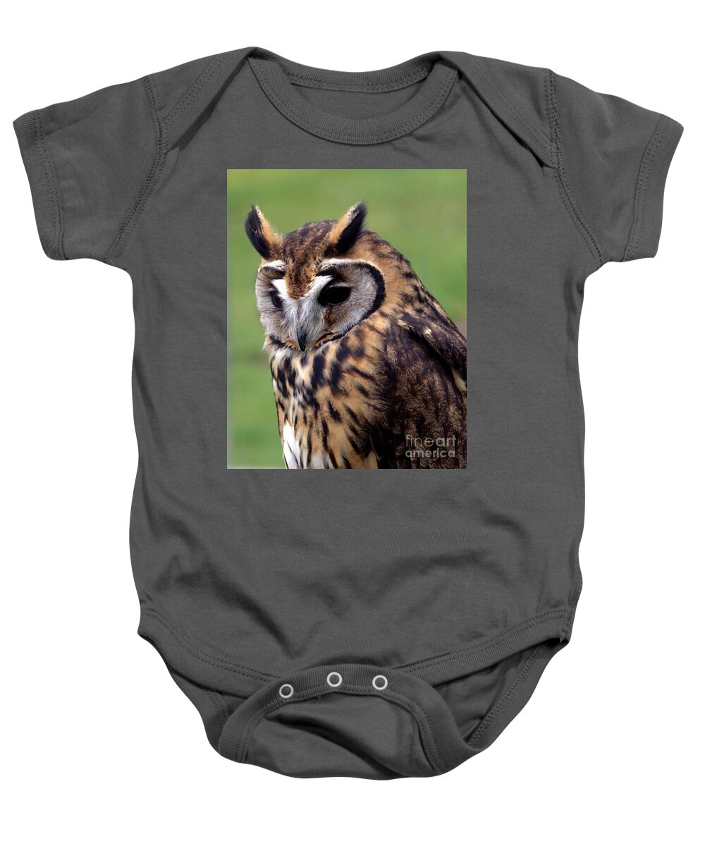 Owl Baby Onesie featuring the photograph Eurasian Striped Owl by Stephen Melia