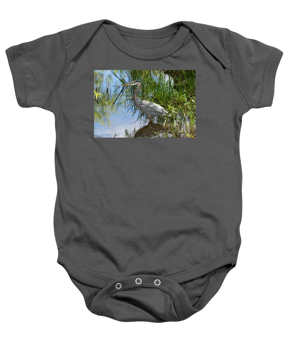 Everglades National Park Baby Onesie featuring the photograph Everglades 572 by Michael Fryd