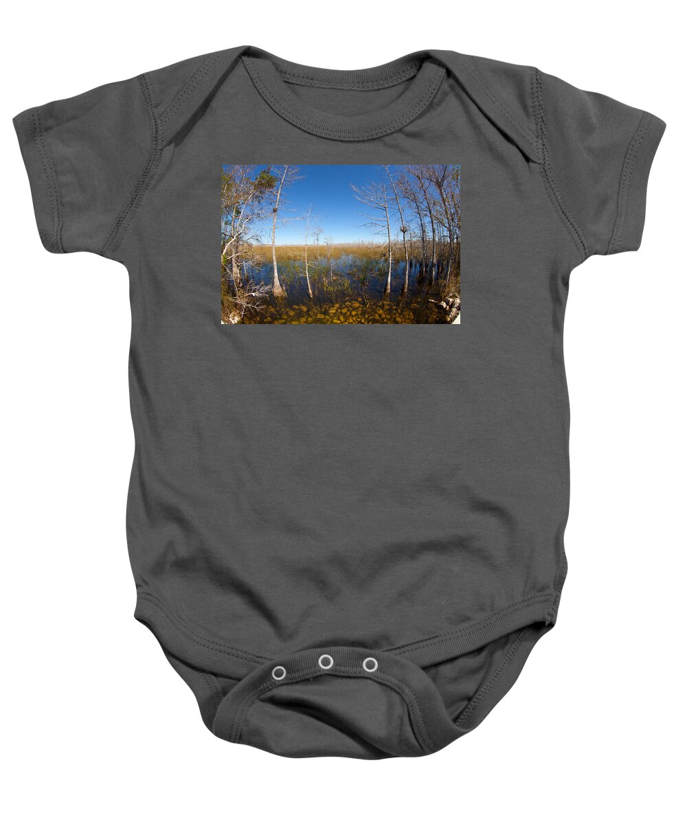 Everglades National Park Baby Onesie featuring the photograph Everglades 85 by Michael Fryd