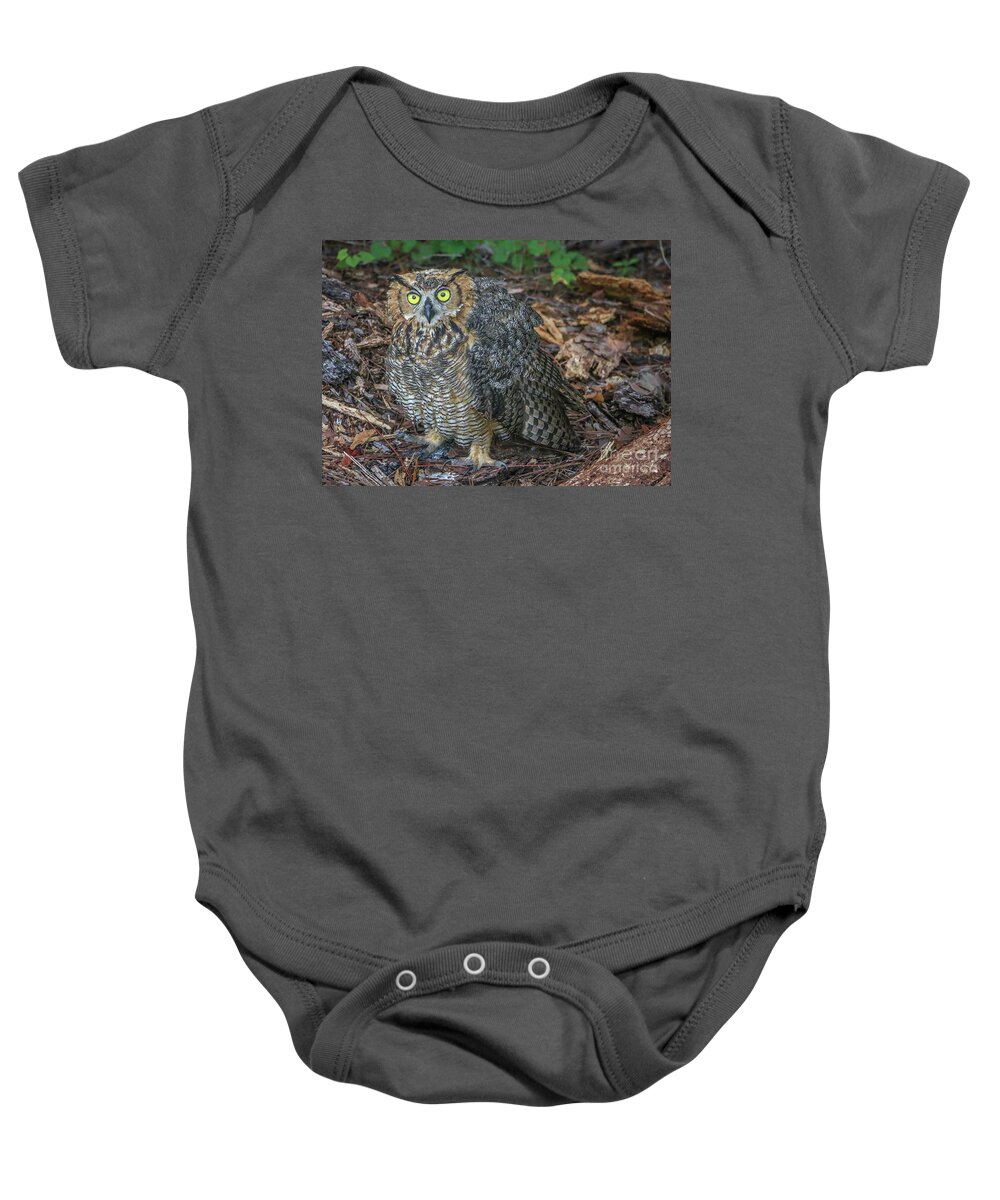Owl Baby Onesie featuring the photograph Eye to Eye with Owl by Tom Claud