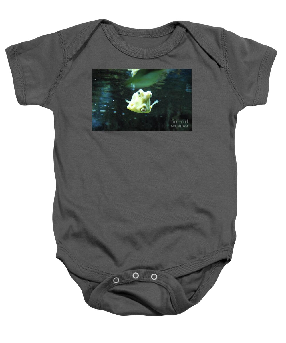 Longhorn-cowfish Baby Onesie featuring the photograph Face of a Horned Boxfish Swimming Underwater by DejaVu Designs