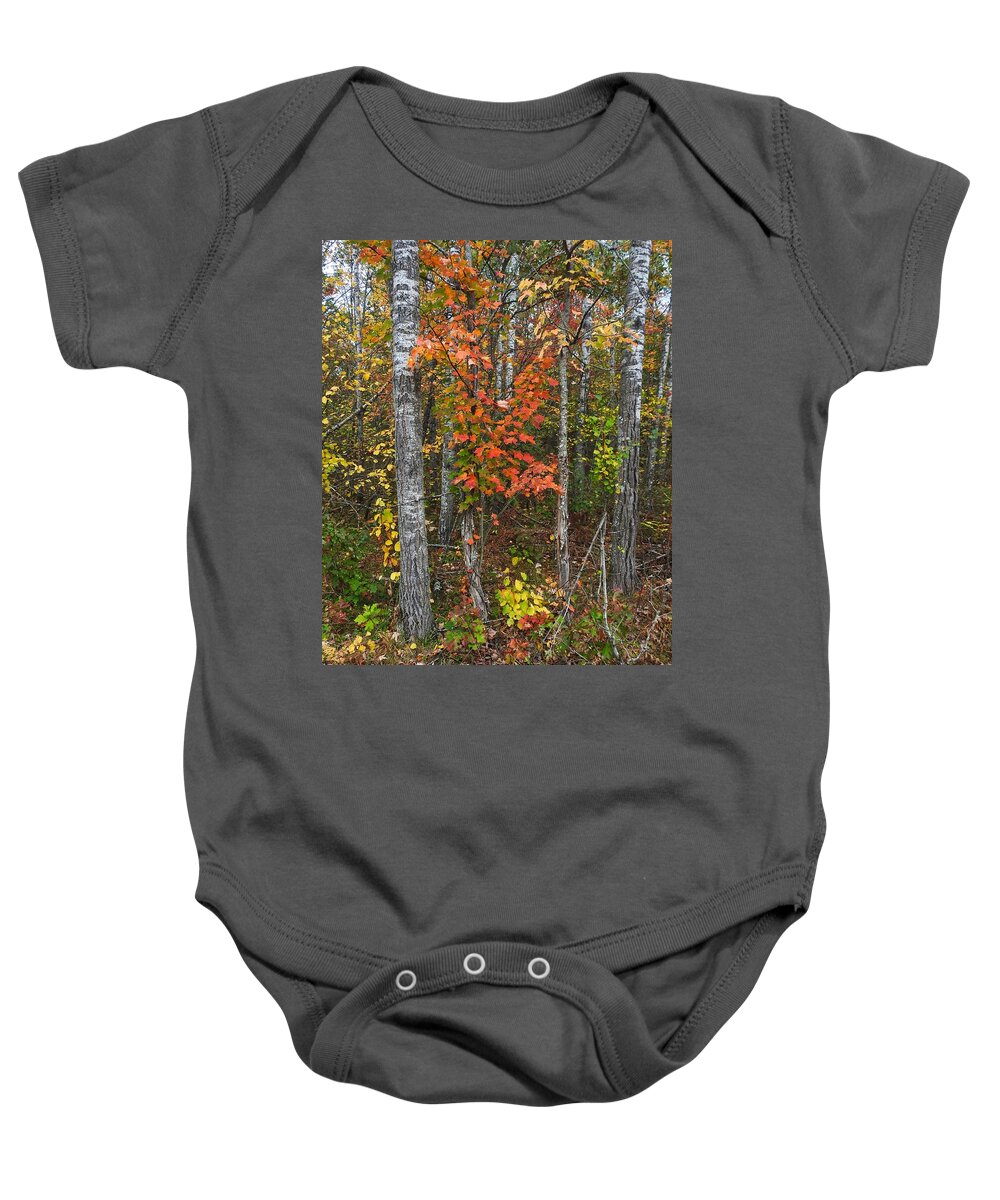 Fall Baby Onesie featuring the photograph Fall Color at Gladwin 4543 by Wesley Elsberry