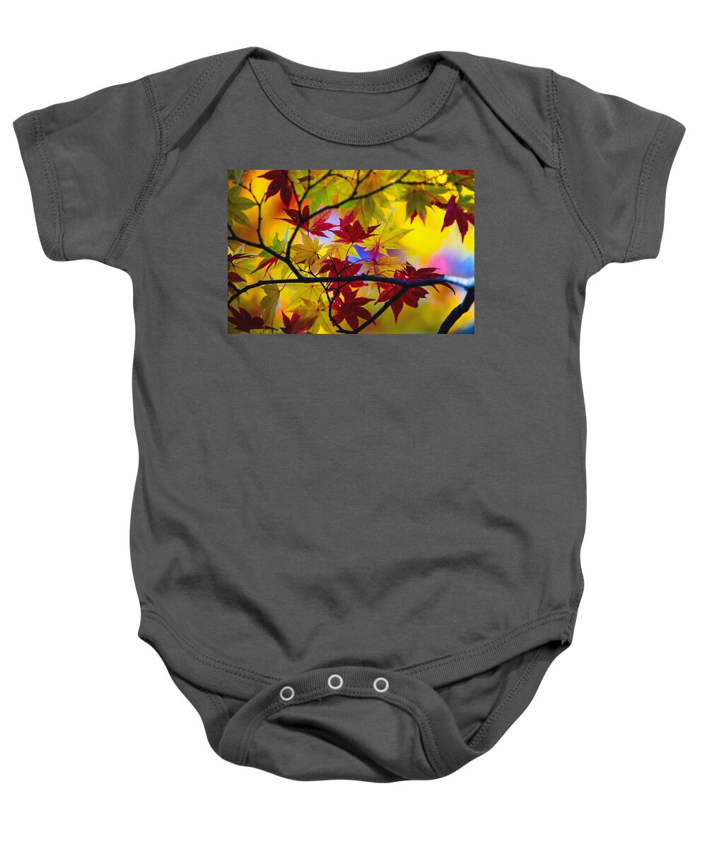 Fall Color Baby Onesie featuring the photograph Fall Color - Japanese maple by Hisao Mogi