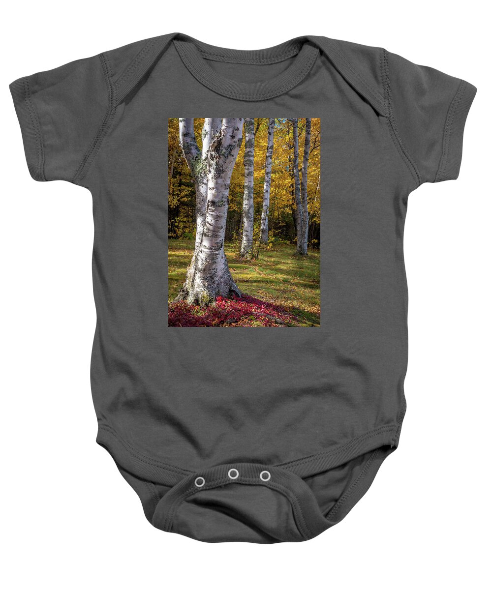 Birch Baby Onesie featuring the photograph Fall Colors by Gary McCormick