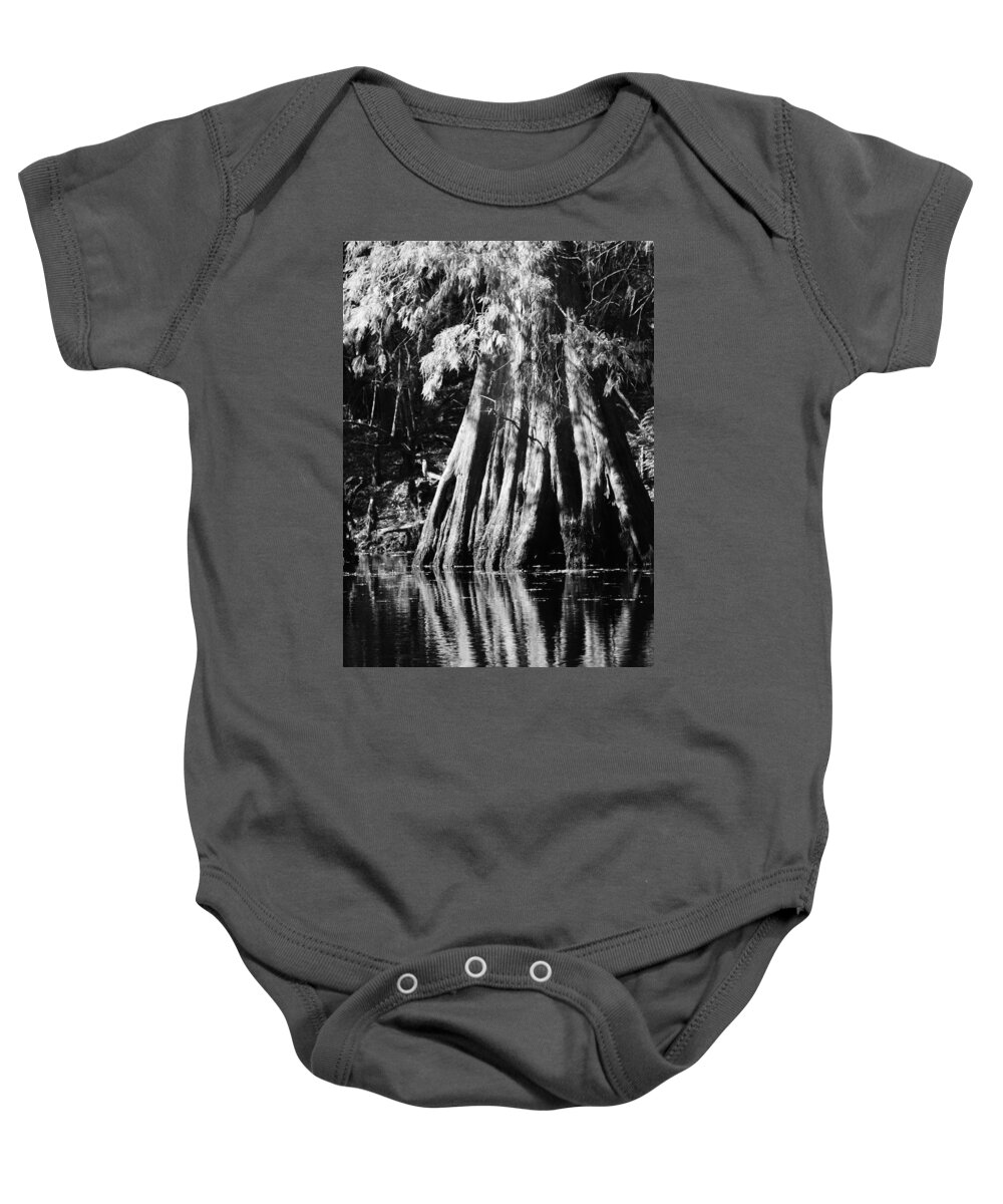 Fall Cypress Macro Bw Baby Onesie featuring the photograph Fall Cypress Macro BW by Warren Thompson