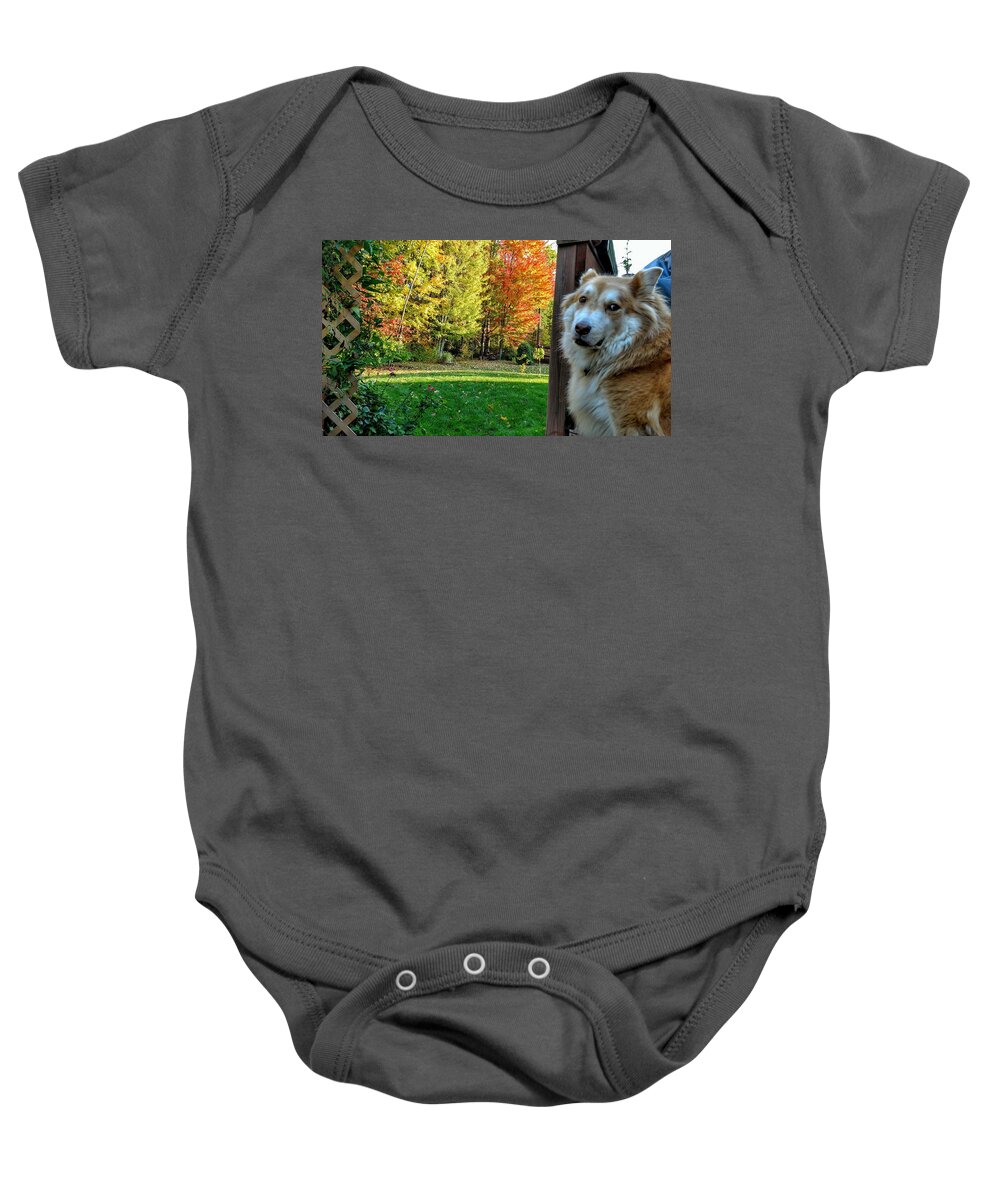  Baby Onesie featuring the photograph Fall Ducati by Brad Nellis