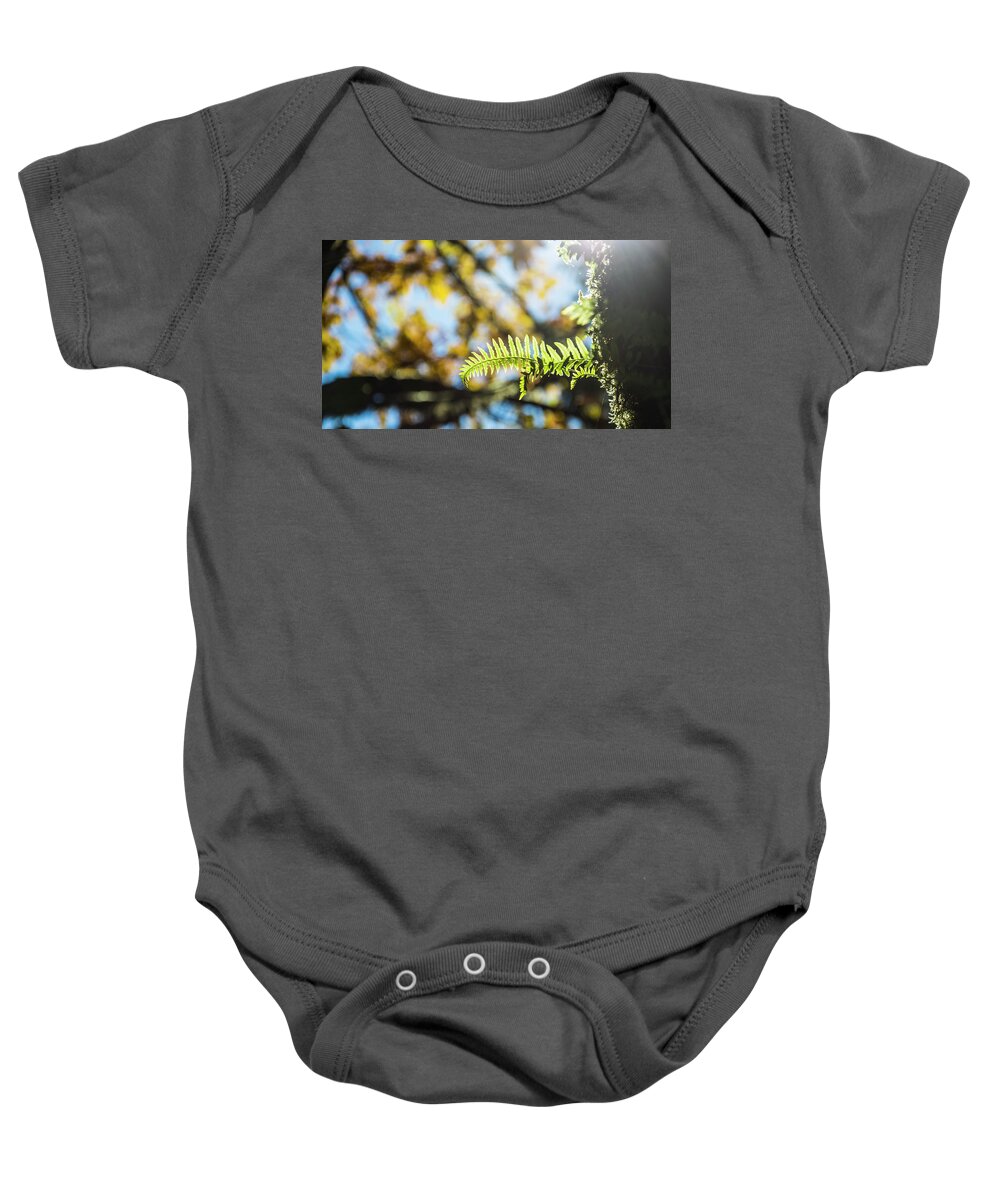 Fern Baby Onesie featuring the photograph Fall Ferns 3 by Pelo Blanco Photo
