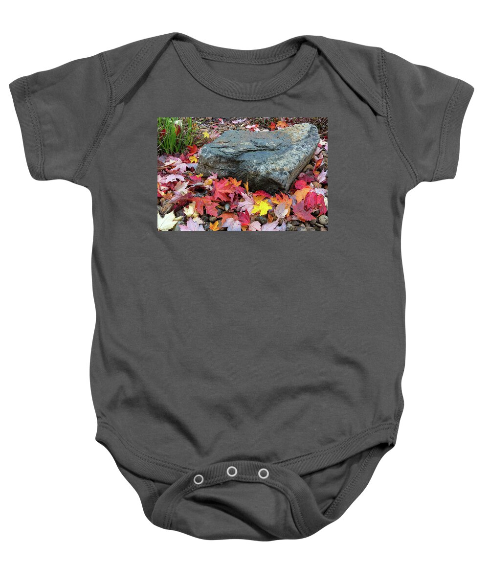 Maple Baby Onesie featuring the photograph Fall Maple Leaves by Rock in Garden Backyard by David Gn