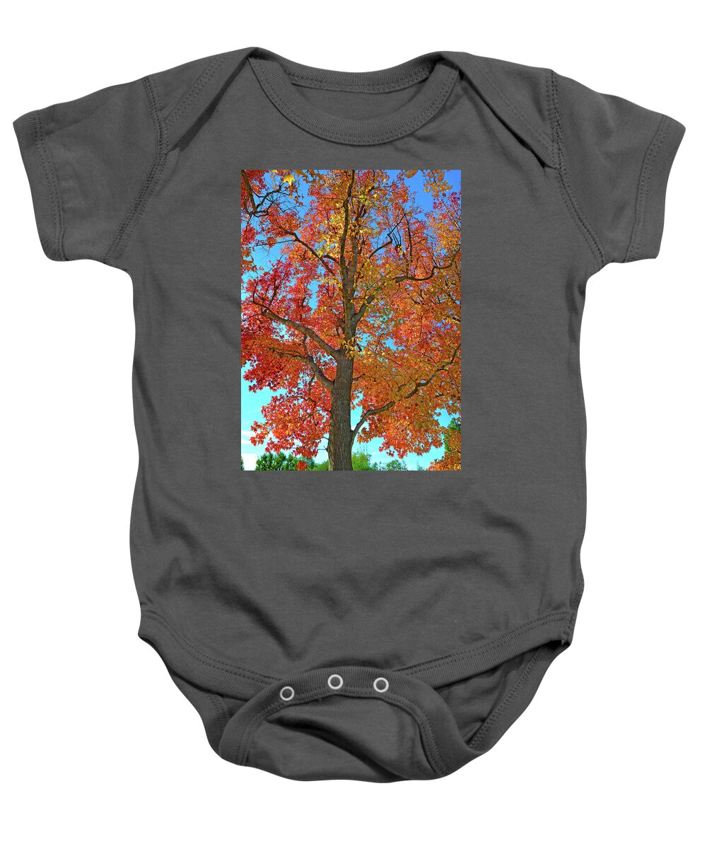 Fall Colors Baby Onesie featuring the photograph Fall's Farewell by Lynn Bauer
