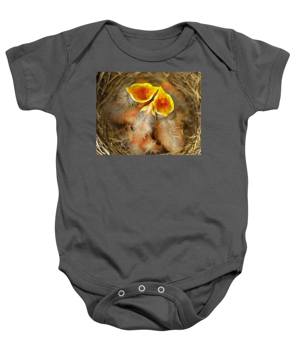 Robins Baby Onesie featuring the photograph Feeding Time by Jeff Swan