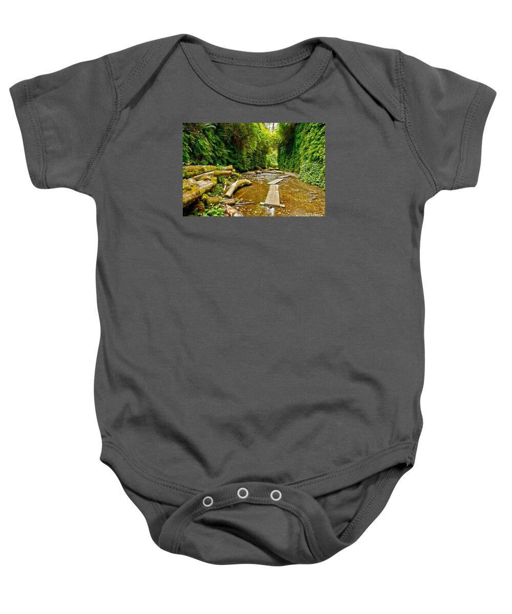 Photograph Baby Onesie featuring the photograph Fern Canyon by Richard Gehlbach