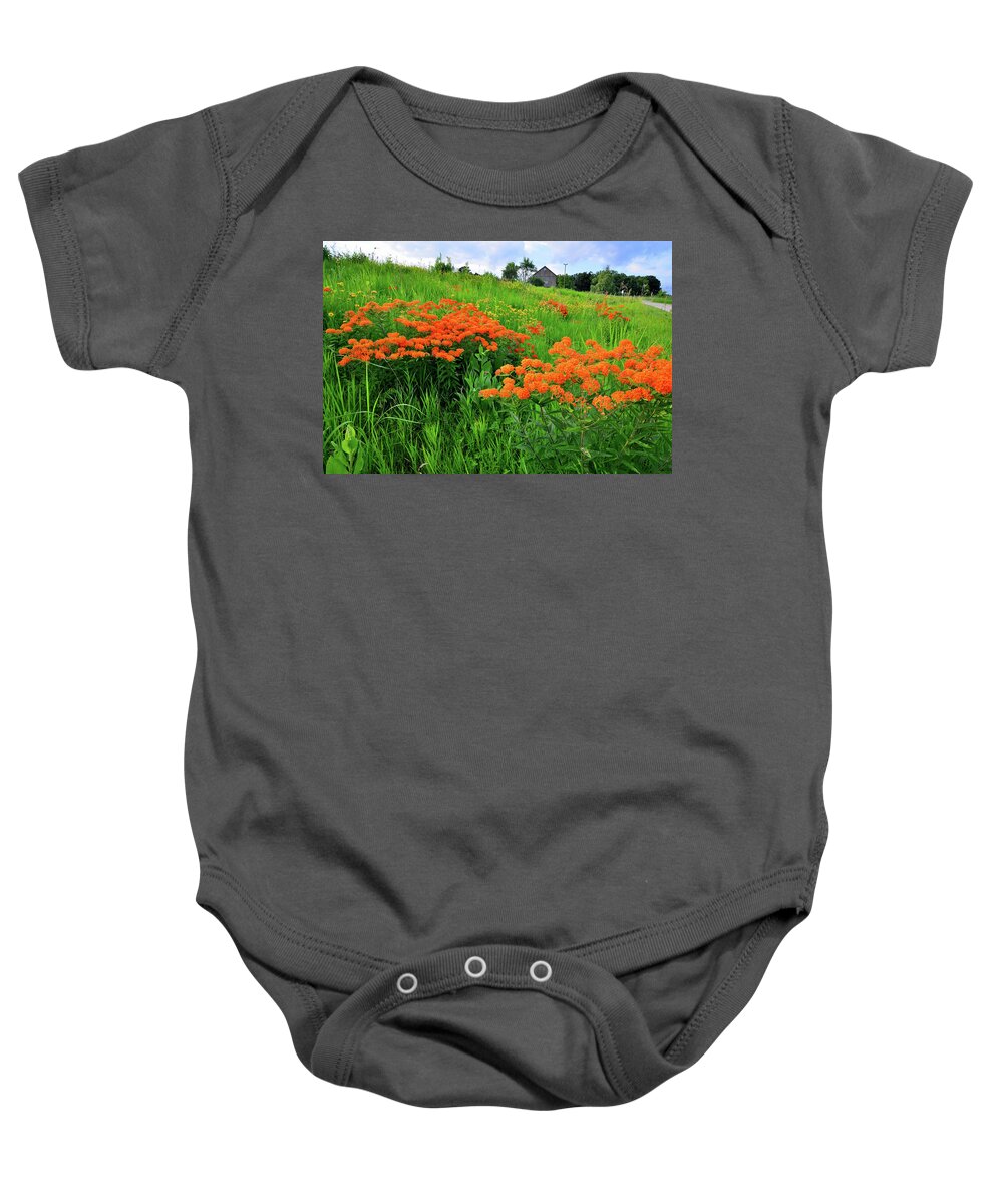 Glacial Park Baby Onesie featuring the photograph Field of Butterfly Milkweed in Glacial Park by Ray Mathis