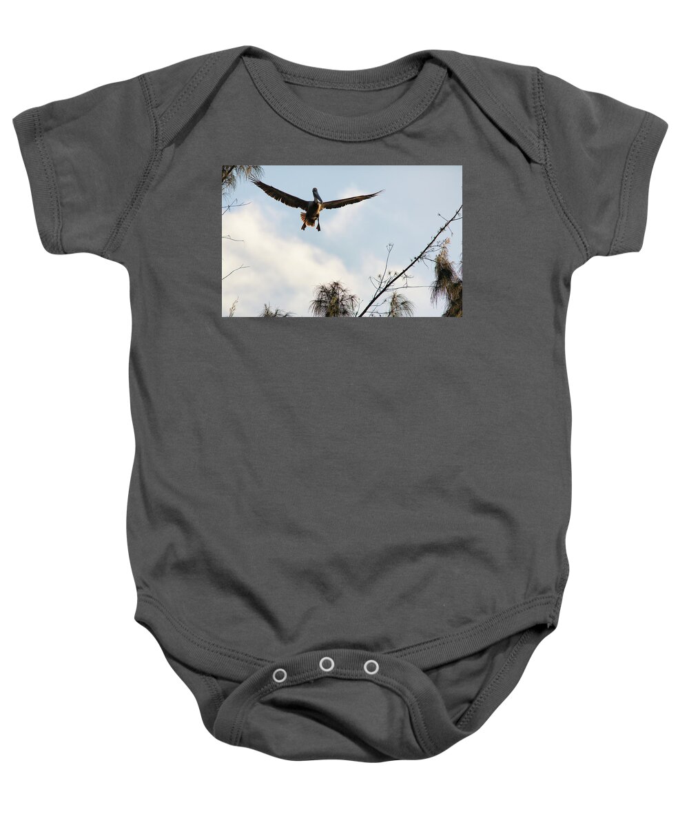 Cozumel Baby Onesie featuring the photograph Final Approach by David Buhler