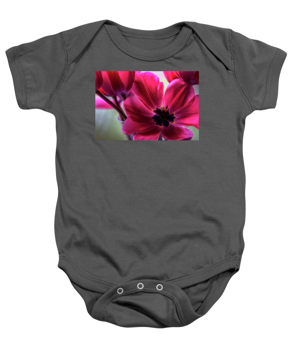 Hdr Baby Onesie featuring the photograph First to Wake by Brad Granger