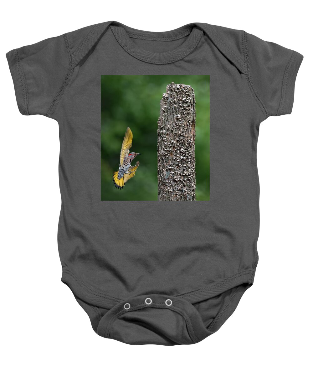 Flicker Baby Onesie featuring the photograph Flash of Yellow by Art Cole