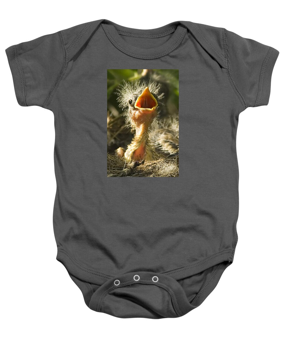 Yellow Warbler Baby Onesie featuring the photograph Fledgling Yellow Warbler by Gary Beeler