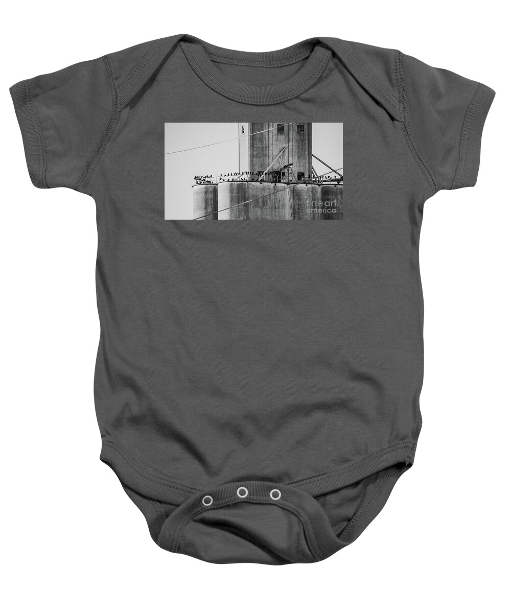 Many Baby Onesie featuring the photograph Flock of blackbirds by Andrea Anderegg