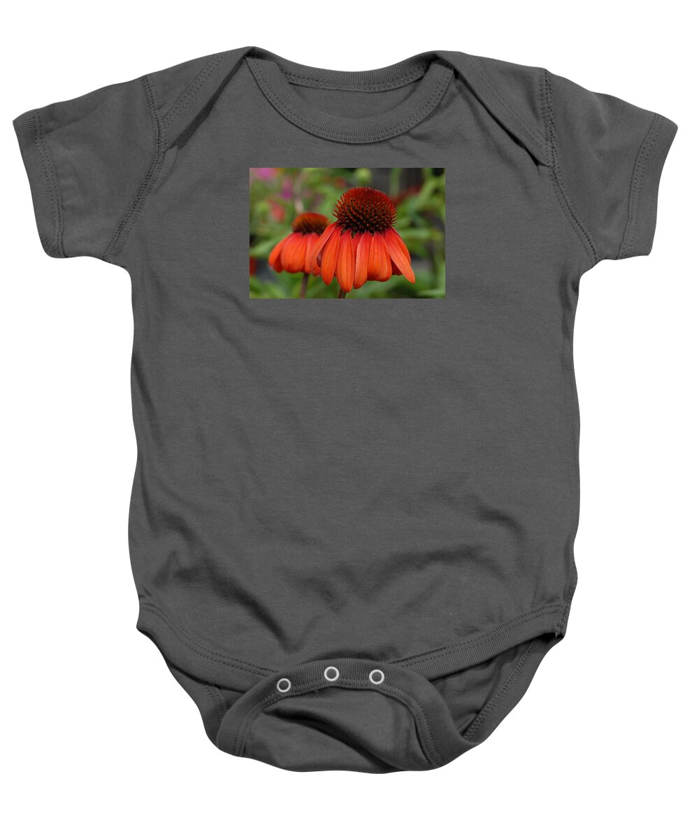 Cone Cone Flower Baby Onesie featuring the photograph Flowers 729 by Joyce StJames