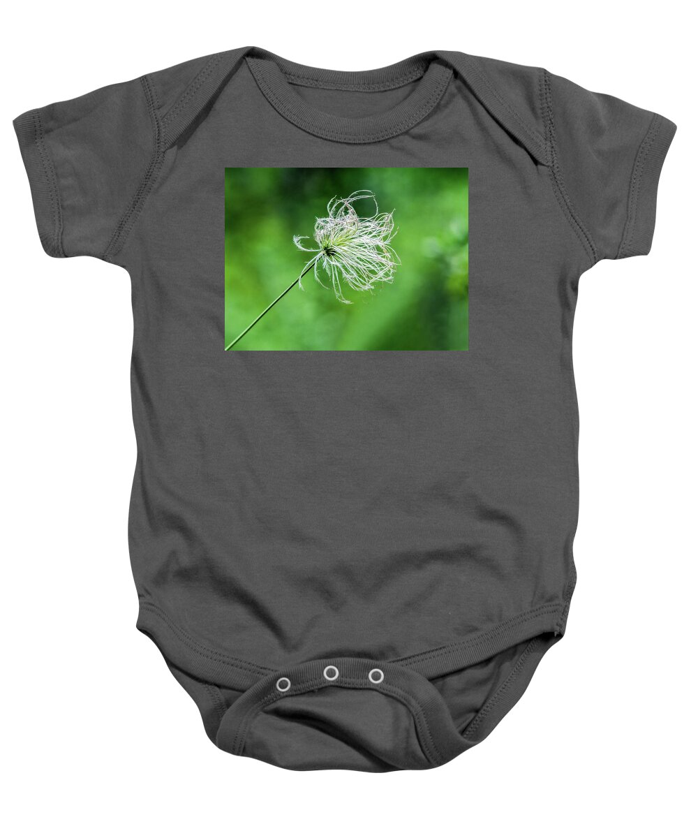 Flower Baby Onesie featuring the photograph Flower 8941 by Tam Ryan