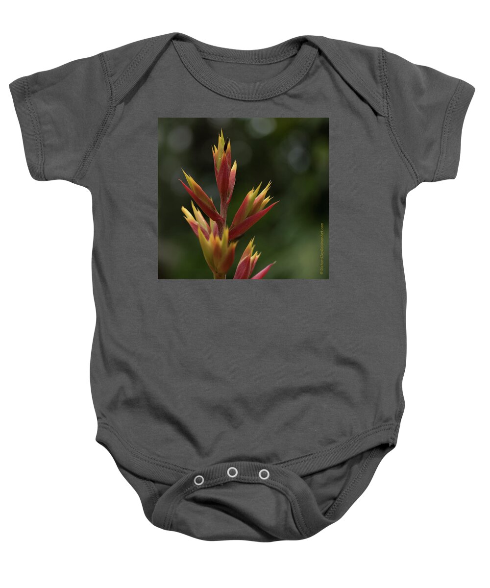 Selby Gardens Baby Onesie featuring the photograph Flower at Selby Gardens by Richard Goldman