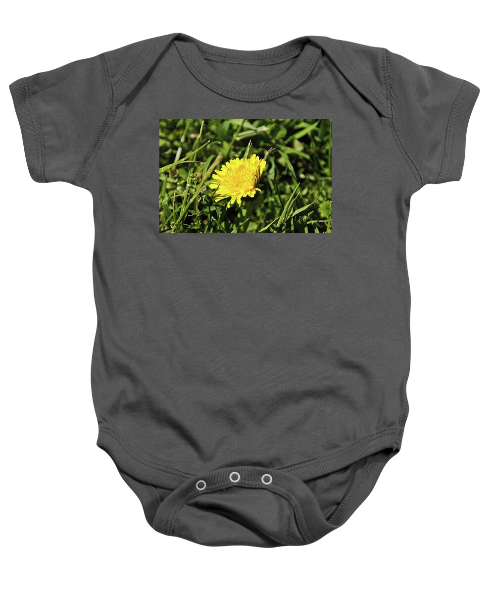 Flowers Baby Onesie featuring the photograph Flower macro 2 by Karl Rose