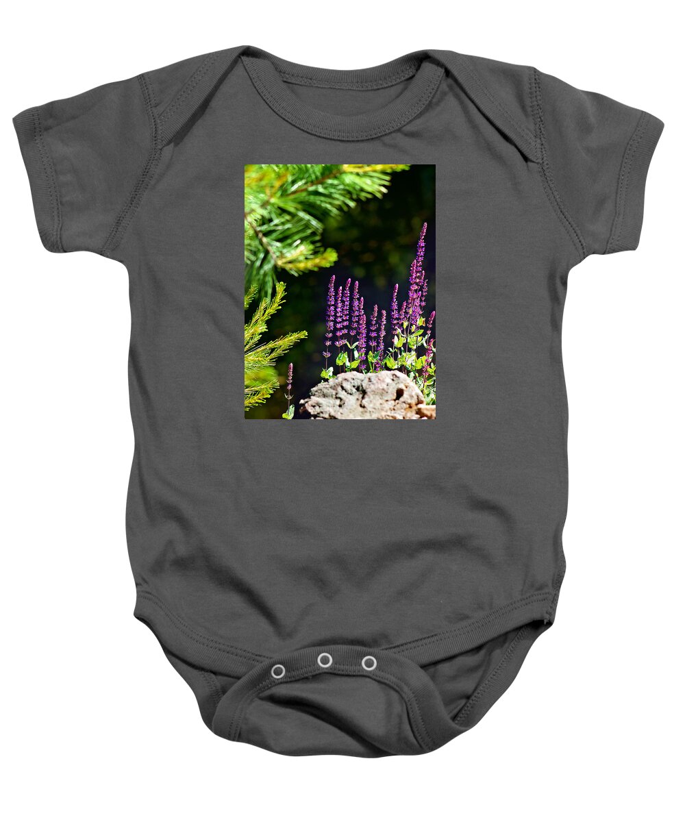 Perennial Meadow Sage Caradonna Flower Print Baby Onesie featuring the photograph Flower Meadow Sage Print by Gwen Gibson