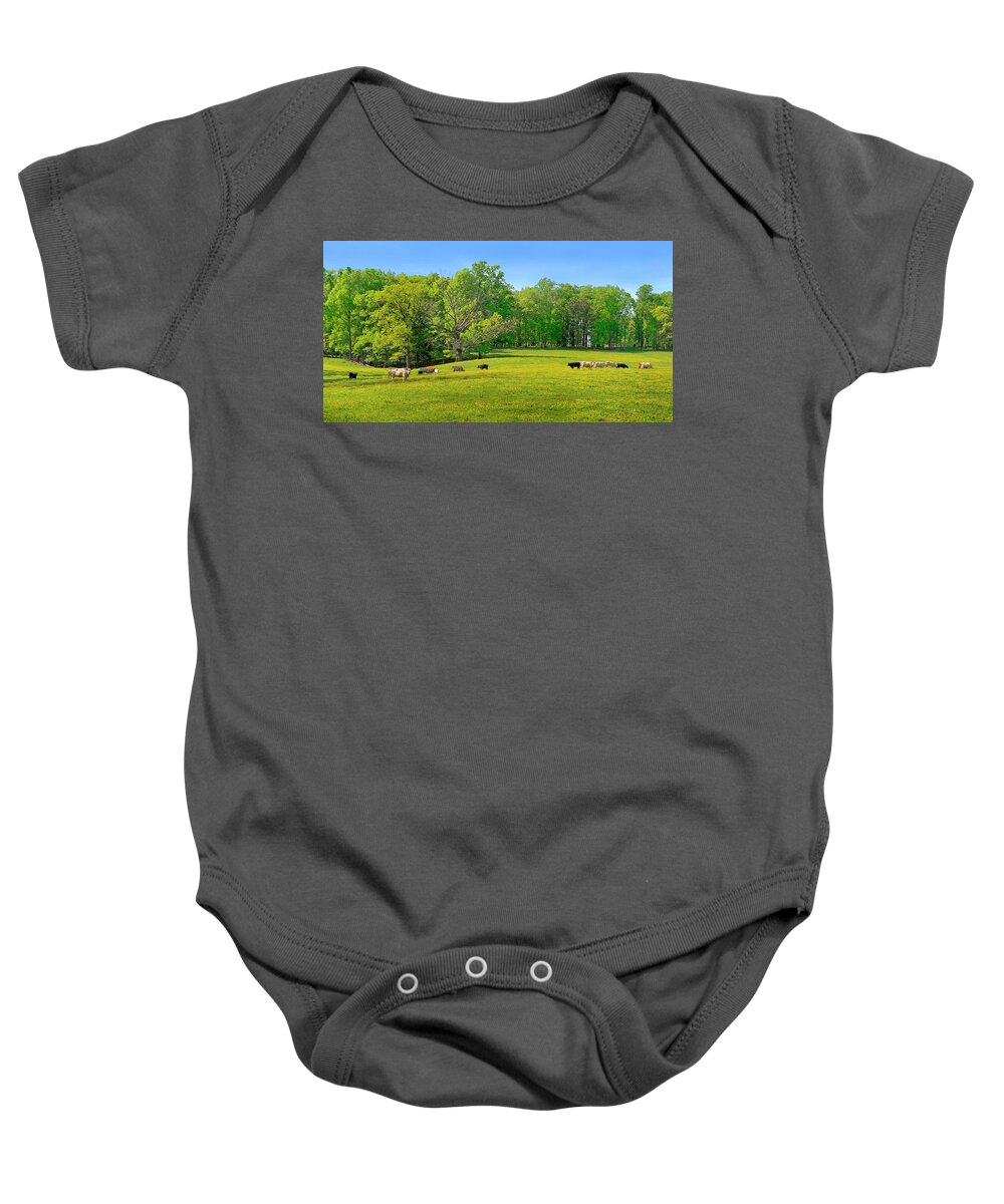 Yellow Flowering Cow Pasture Baby Onesie featuring the photograph Flowering Cow Pasture by The James Roney Collection