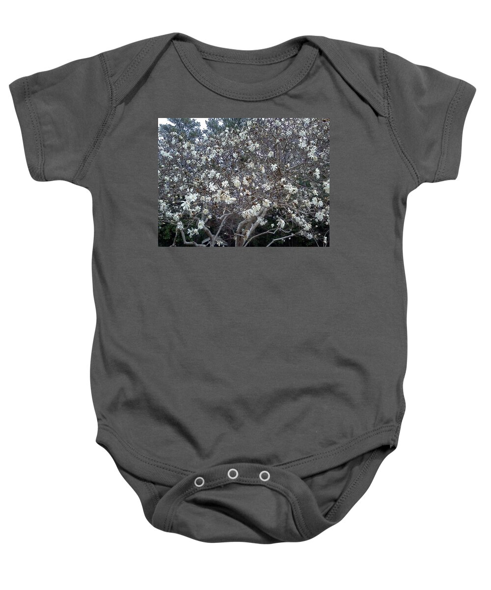 Floral Baby Onesie featuring the photograph Flowering Tree by Pamela Henry