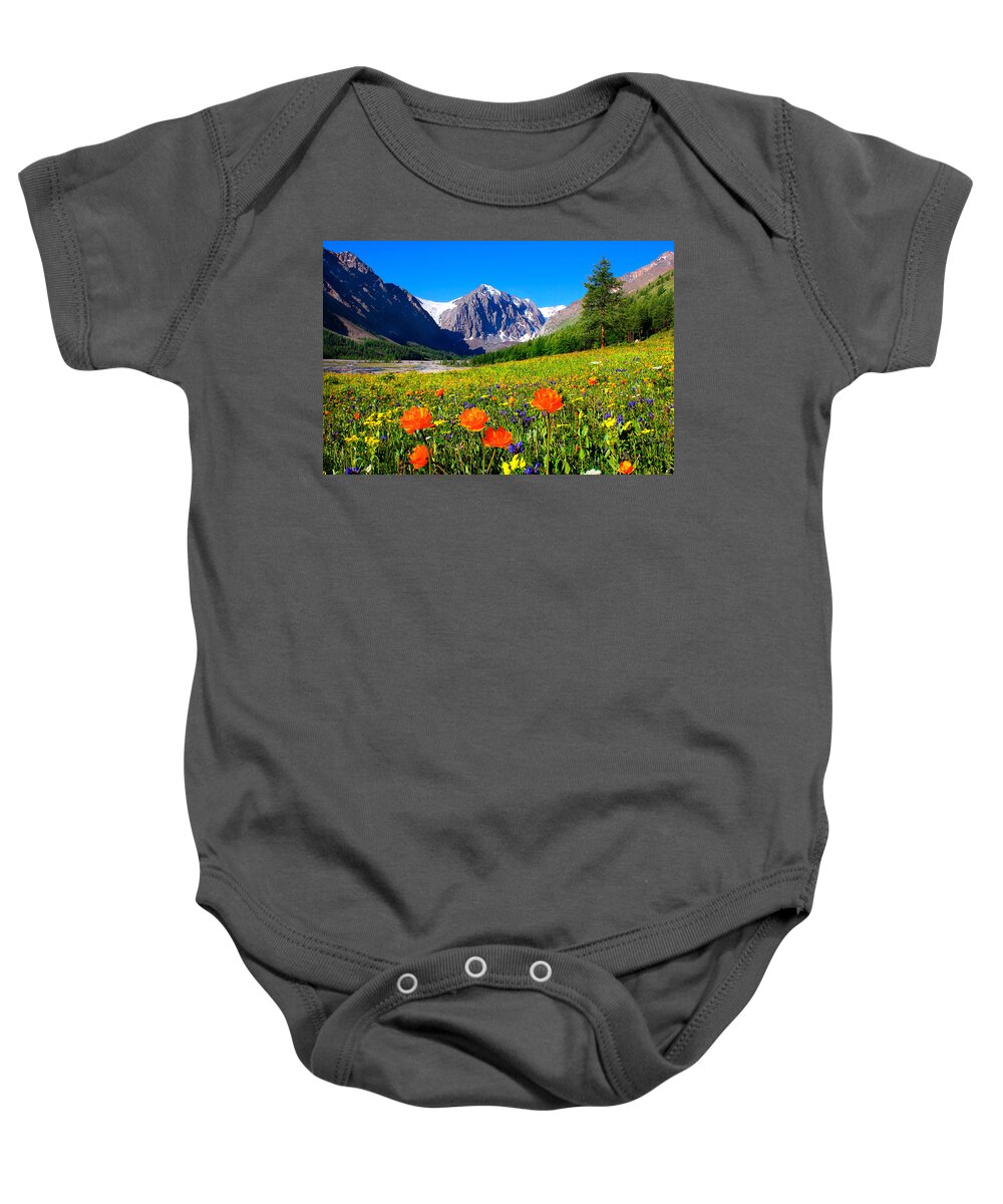 Russian Artists New Wave Baby Onesie featuring the photograph Flowering Valley. Mountain Karatash by Victor Kovchin