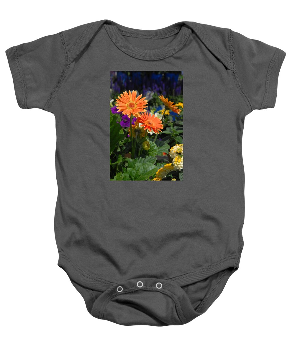 Daisy  Flower Baby Onesie featuring the photograph Flowers 730 by Joyce StJames