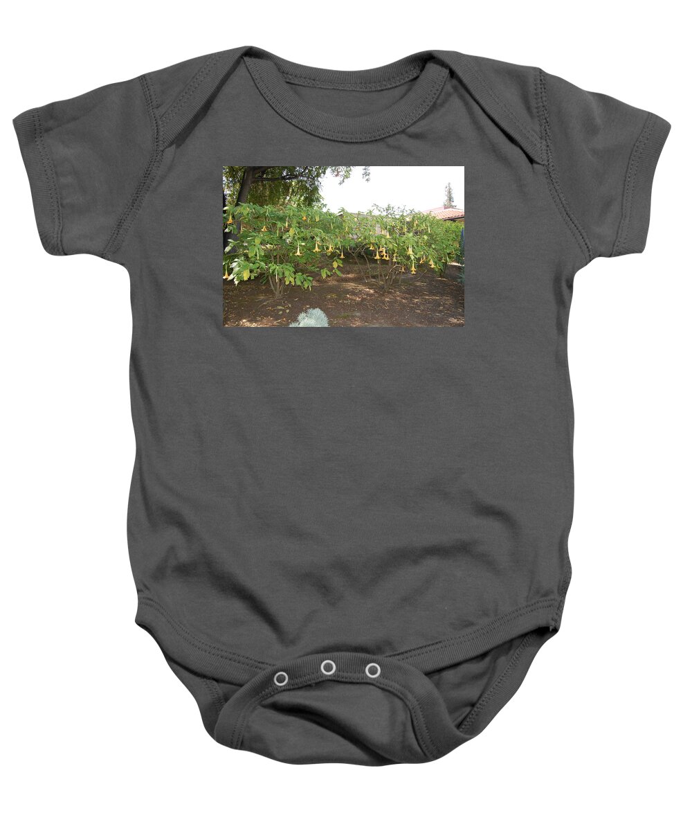 Santa Clara University Baby Onesie featuring the photograph Flowers at SCU by Carolyn Donnell