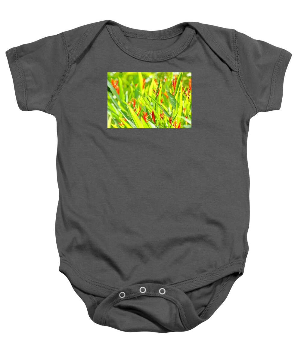 Finca Baby Onesie featuring the photograph Flowers of the finca by ByetPhotography