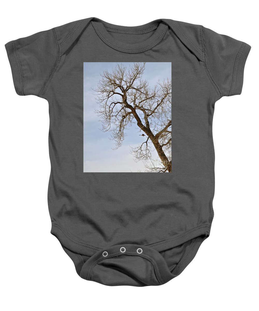 Flying Baby Onesie featuring the photograph Flying Goose by Great Tree by Cindy Schneider