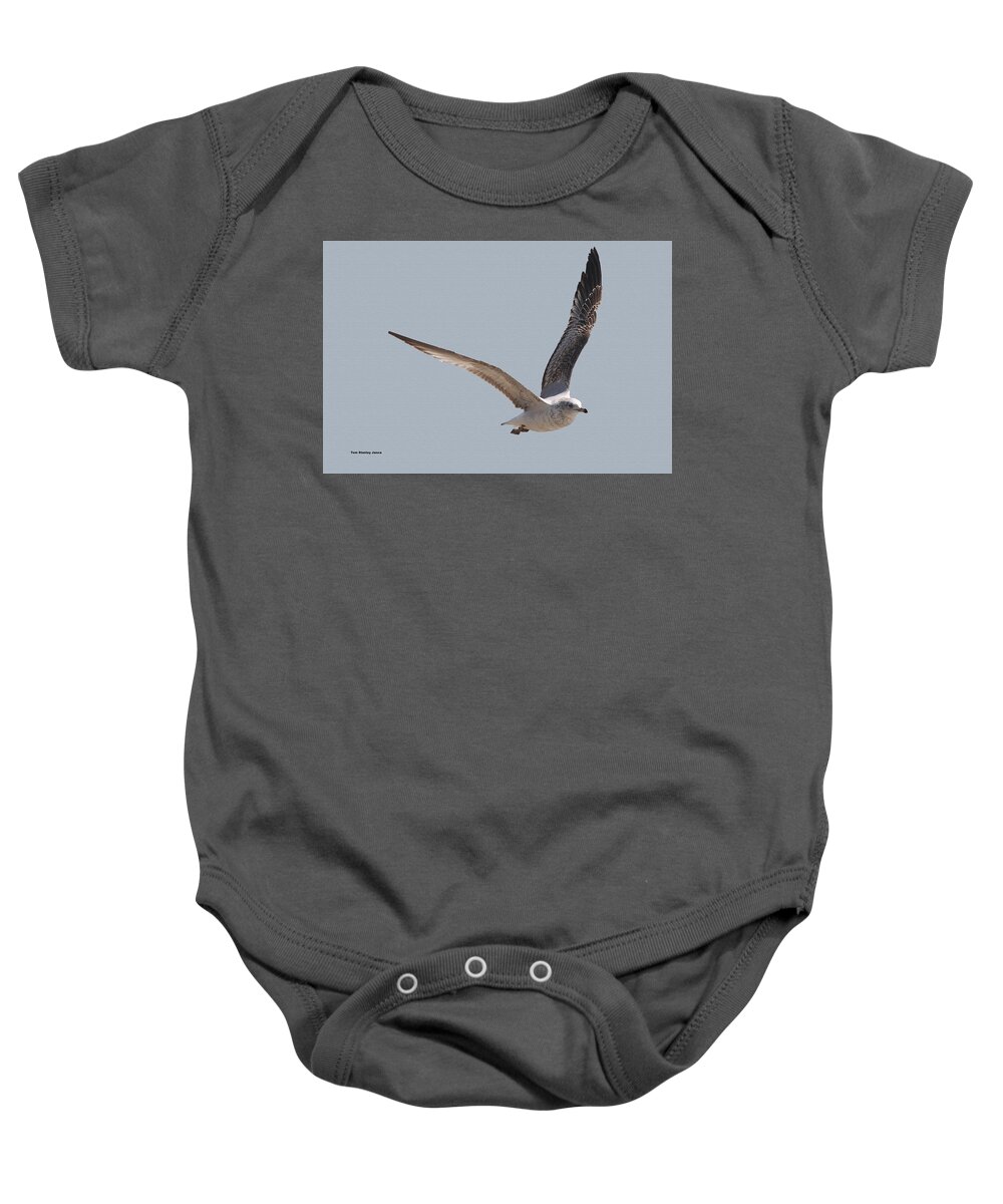 Flying High Baby Onesie featuring the photograph Flying High by Tom Janca