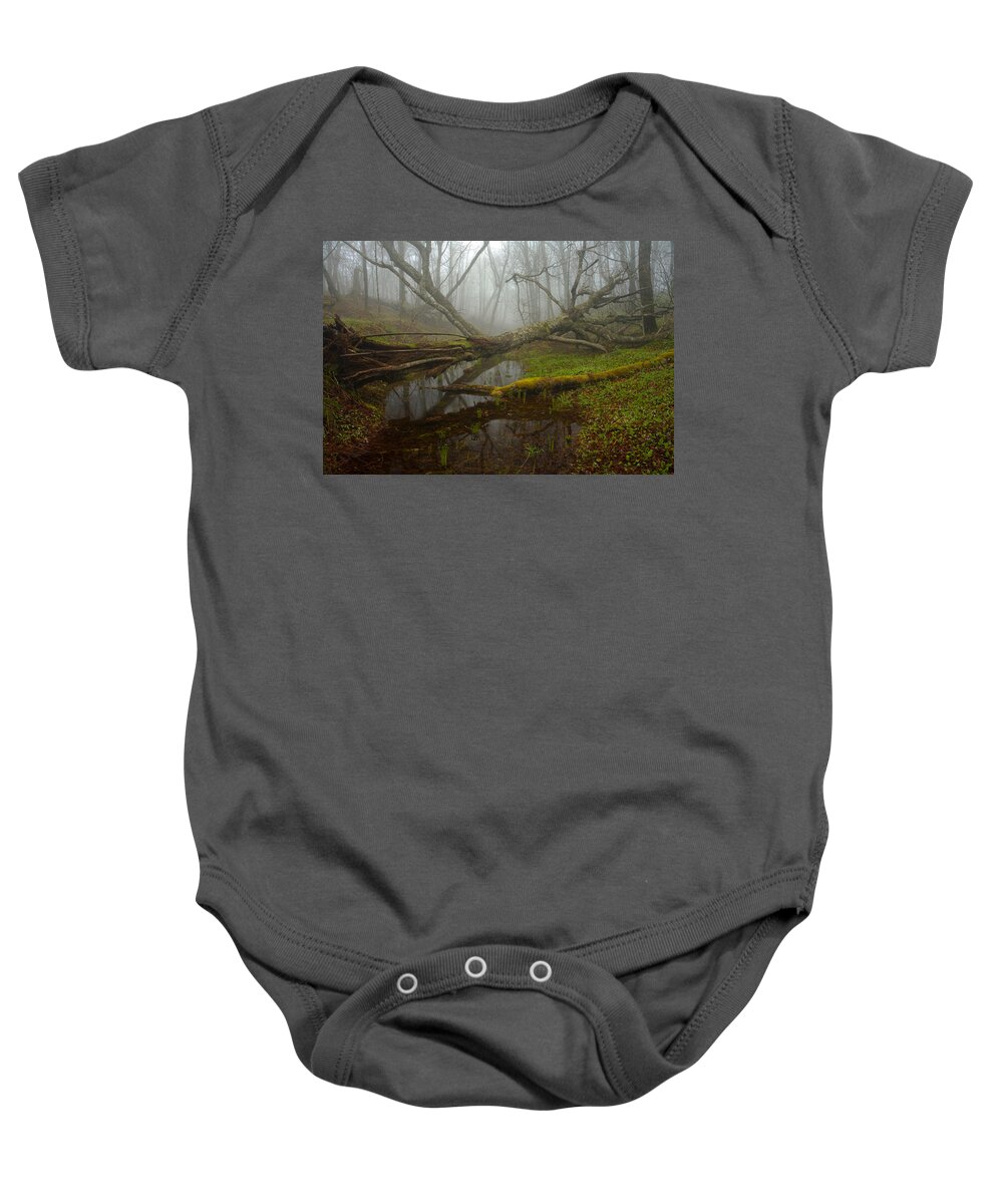 Spring Baby Onesie featuring the photograph Foggy Spring Forest by Irwin Barrett