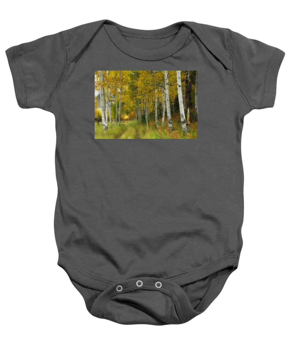 Birch Trees Baby Onesie featuring the photograph Follow The Light by Donna Blackhall
