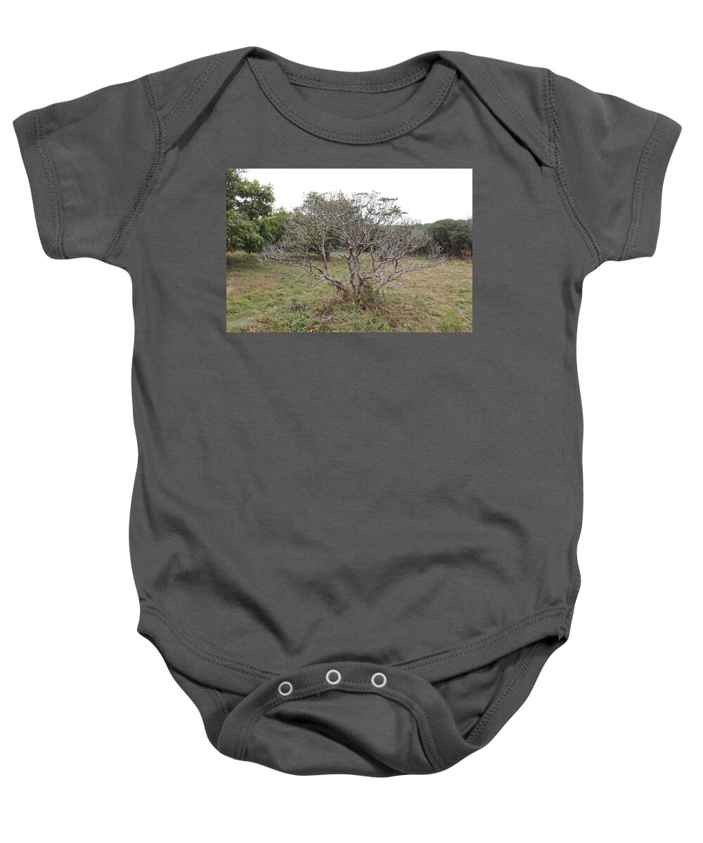 Tree Baby Onesie featuring the photograph Forest Character Tree by Allen Nice-Webb