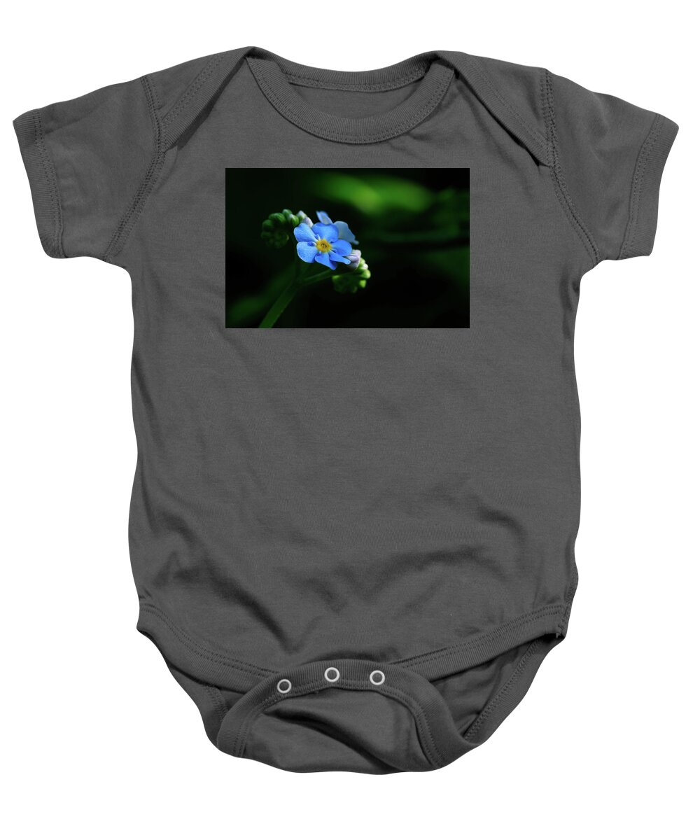 Forget-me-not Baby Onesie featuring the photograph Forget-me-not by Rob Davies