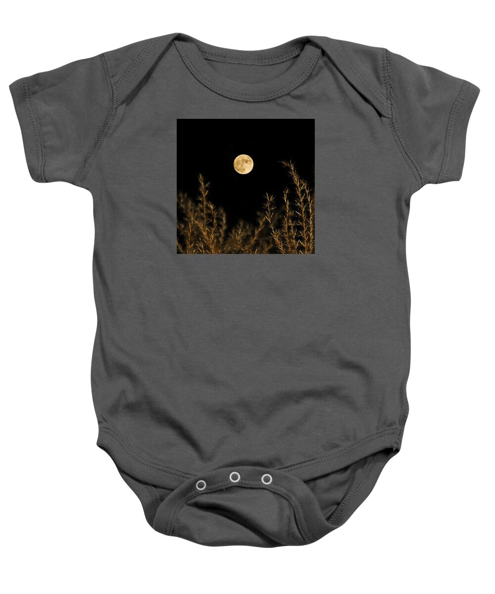 Moon Baby Onesie featuring the photograph Fountain Grass Full Moon II by Jeff Galbraith