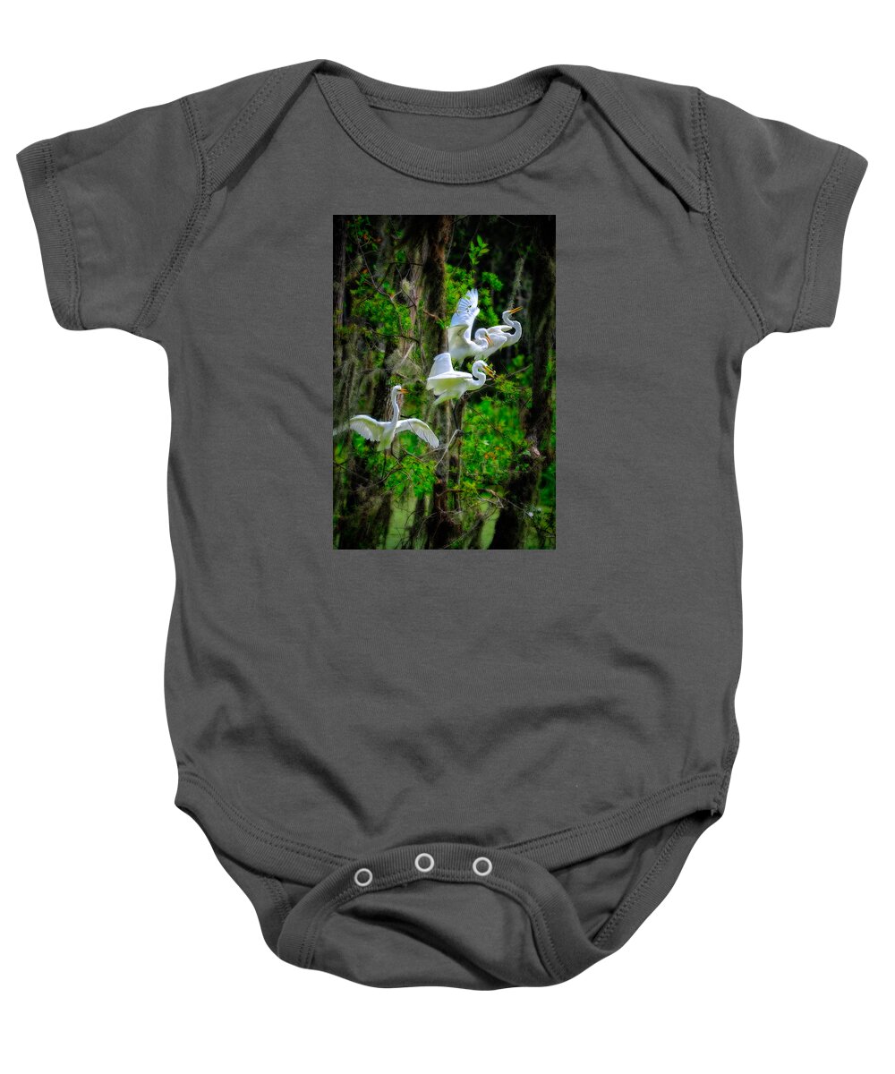 Birds Baby Onesie featuring the photograph Four Egrets by Harry Spitz