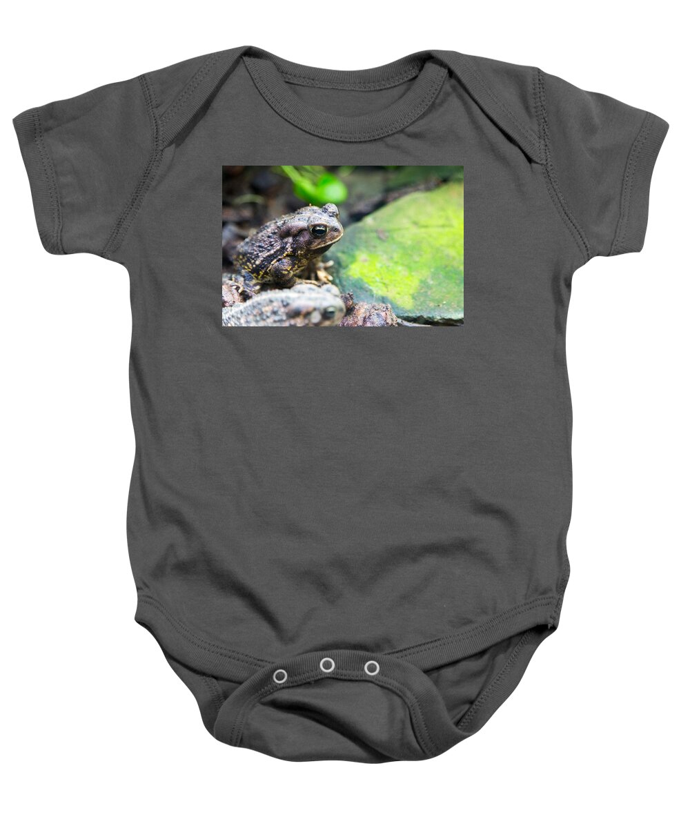 Bufo Fowleri Baby Onesie featuring the photograph Fowlers Toad by SR Green
