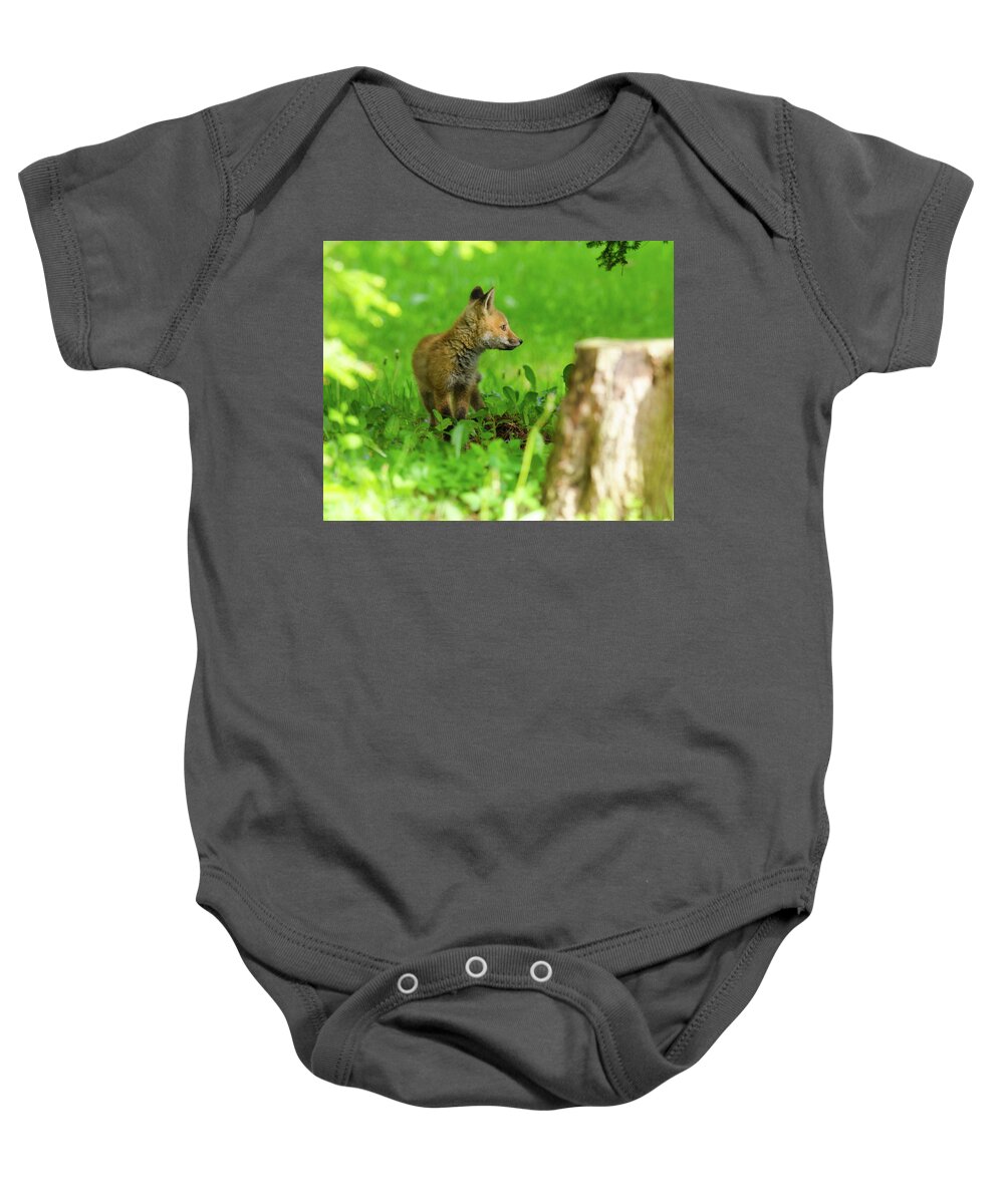 Fox Kit Baby Onesie featuring the photograph Fox Kit - 2 by Kristin Hatt