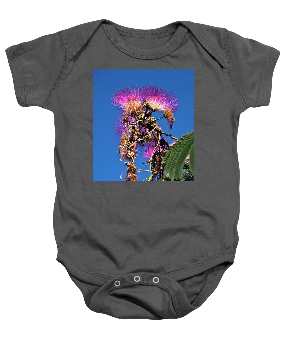 French Flowering Mimosa Baby Onesie featuring the photograph French Flowering Mimosa by Silva Wischeropp
