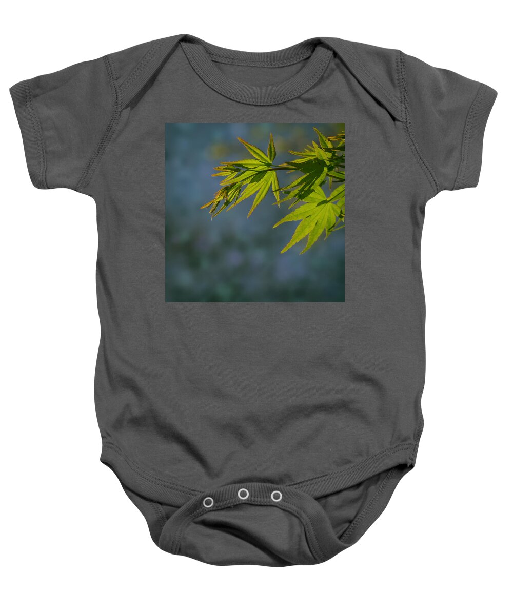 Leaf Baby Onesie featuring the photograph Fresh green leaves by TouTouke A Y