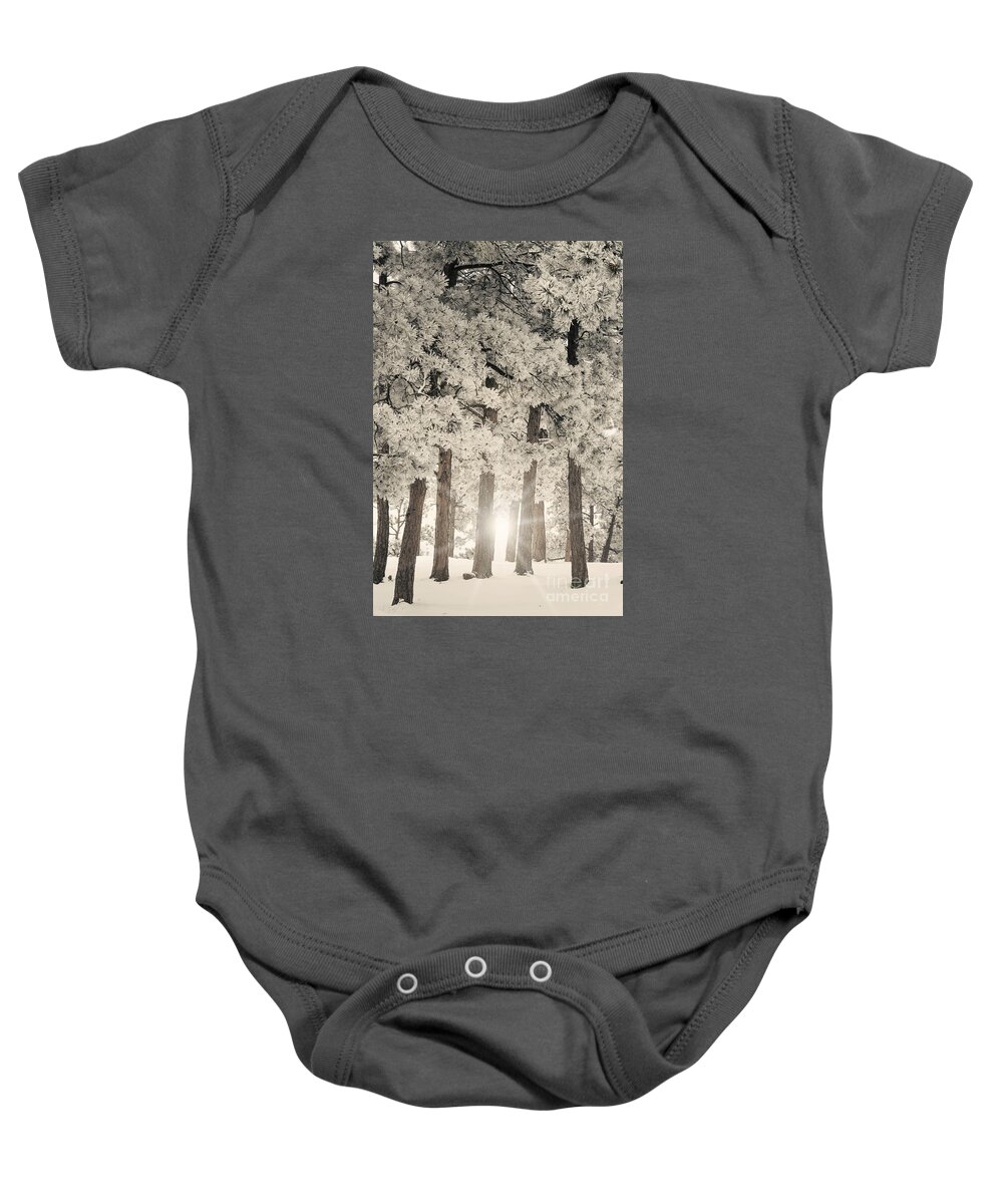 Cold Baby Onesie featuring the photograph Frosted by Juli Scalzi