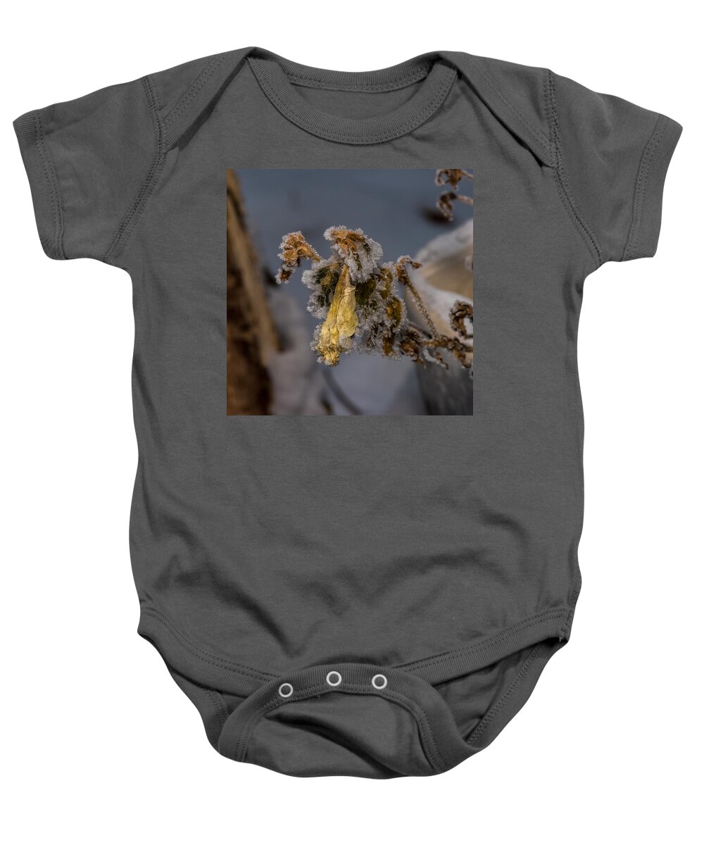 Frosted Rose Baby Onesie featuring the photograph Frosted Rose by Paul Freidlund