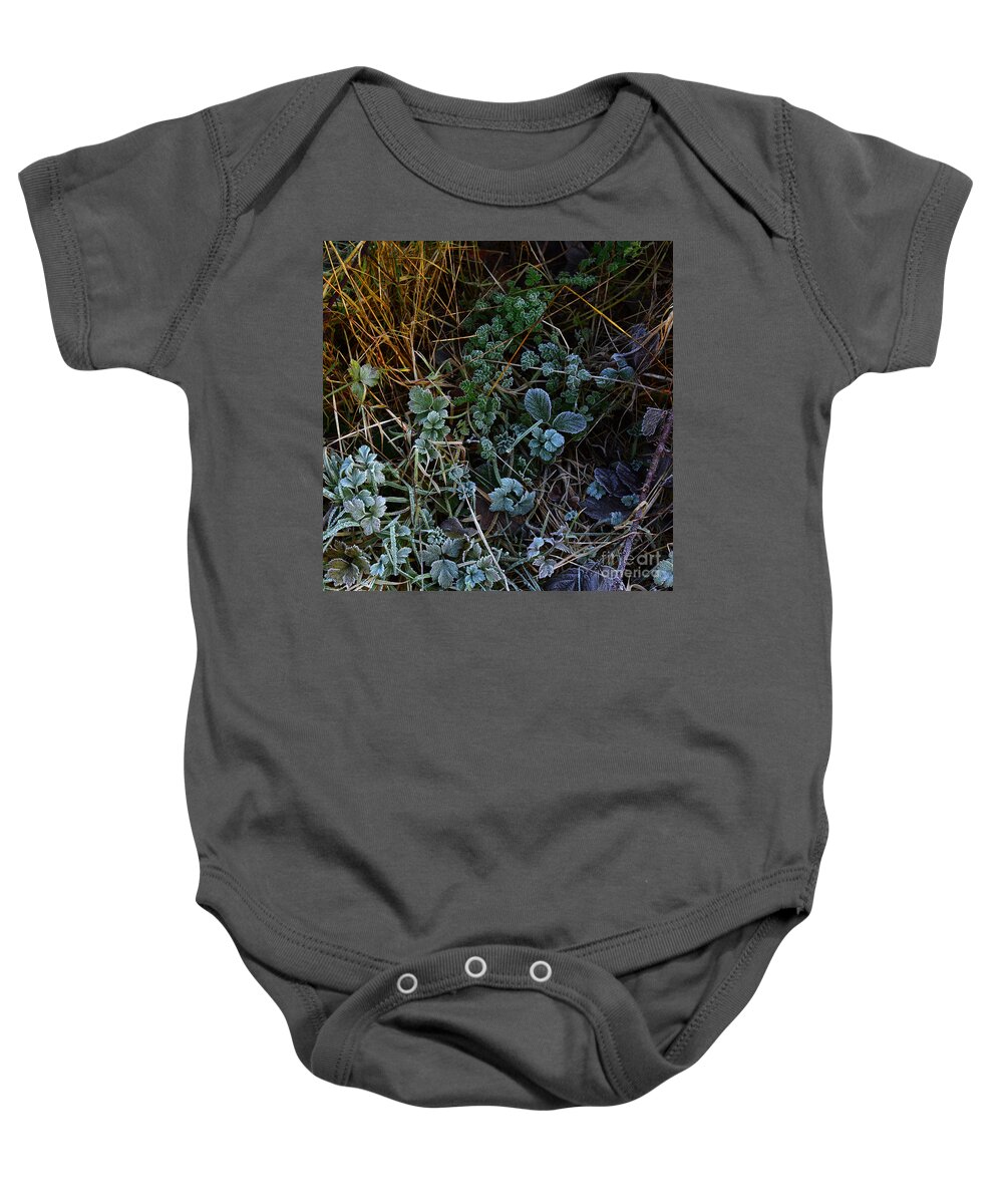 Dawn Frostings Baby Onesie featuring the photograph Frostings 5 by Paul Davenport