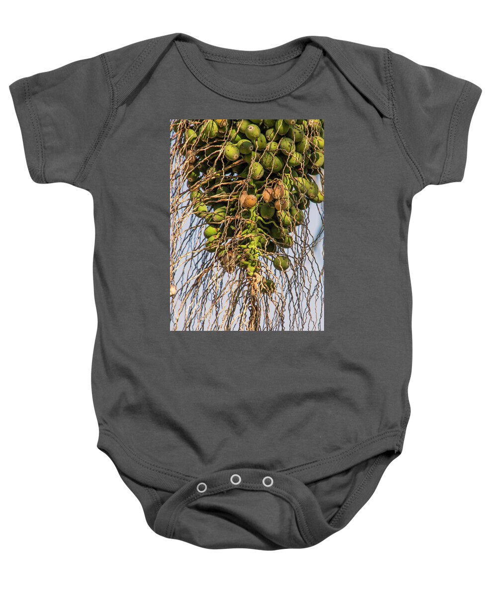 Agriculture Baby Onesie featuring the photograph Fruits of a Date Tree by Adriana Zoon