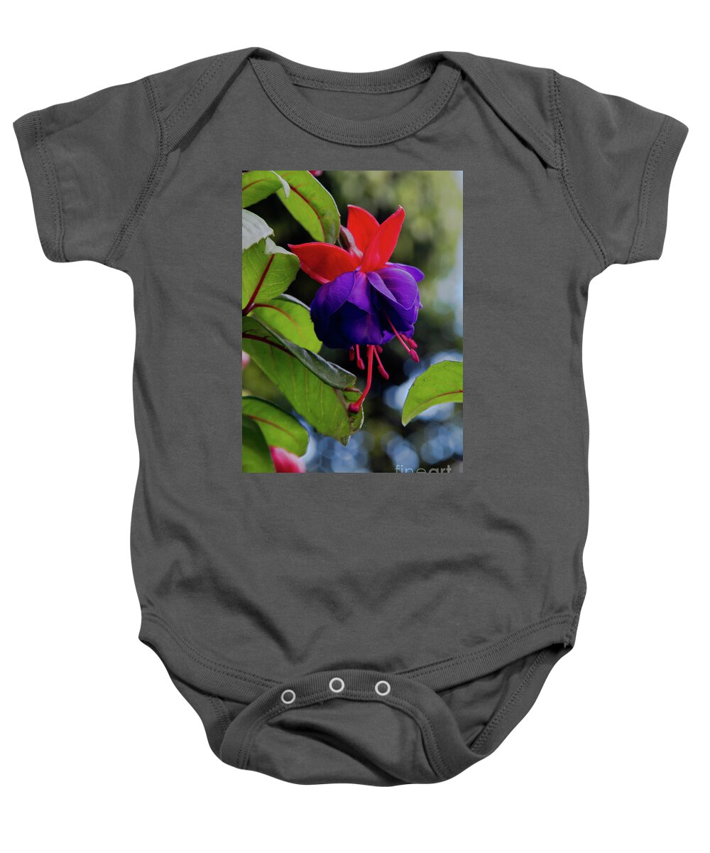 Flowers Baby Onesie featuring the photograph Fuschia by Kathy McClure