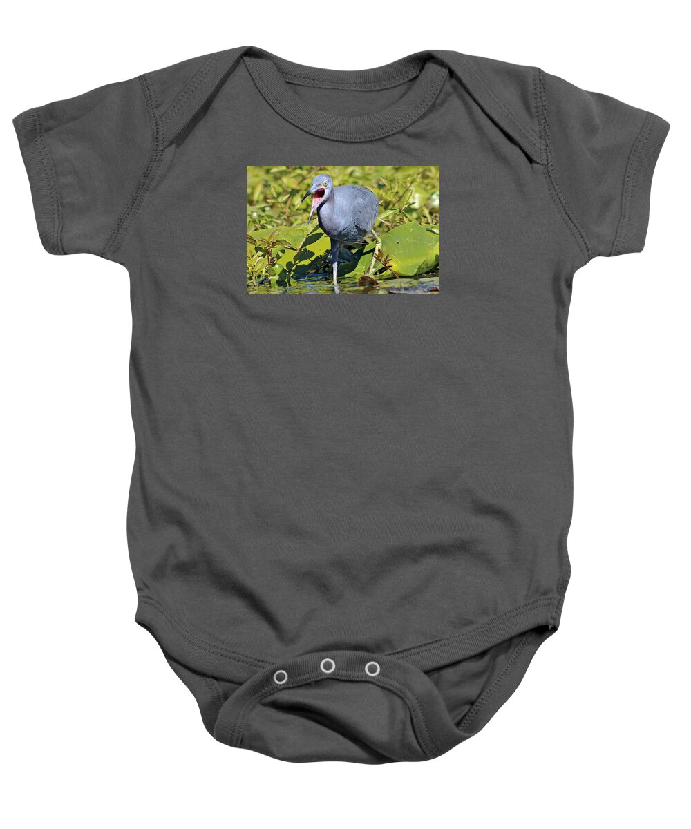 Bird Baby Onesie featuring the photograph Fussy Little Blue Heron by DB Hayes